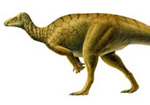 20101211.jpg