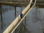 20111116-4.jpg