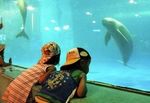 20080822-3982904-1-N.jpg