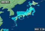 20110130.jpg