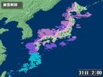20110131.jpg