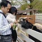 20110503-745629-1-N.jpg