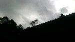 P2540014.jpg