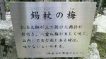 conan2010-027.jpg